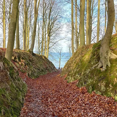 Apartment Bakenberg Wg 13 Strandläufer Mit Balkon Binz