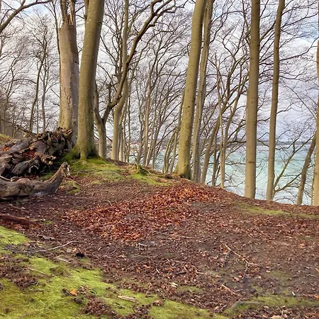 Apartment Bakenberg Wg 13 Strandläufer Mit Balkon *